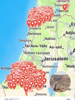 오늘 얼굴책에 @leekangkeun 목사님의 글이 올라왔다. 한인회 회장으로서 오늘도 피난민들(?)과 함께 이집트 타바국경까지 가는 여정을 가신다고 한다. 6시간이 넘는 쉽지 않은 여정을 벌써 몇번이나 하신건지… 존경스럽다. 그 직책을 맡는 것도 그리고 주이스라엘한국대사관과 협력을 만들고 함께 하는 것 자체가 쉽지 않은 일이다. 이스라엘에 오래 사셔서 그런지 이런저런 일들도 잘 아시고 훌륭하시다. 그에 비해서 난 이 조용한 시골에서 광야만 바라보고 산다. 오늘도 조용하다.