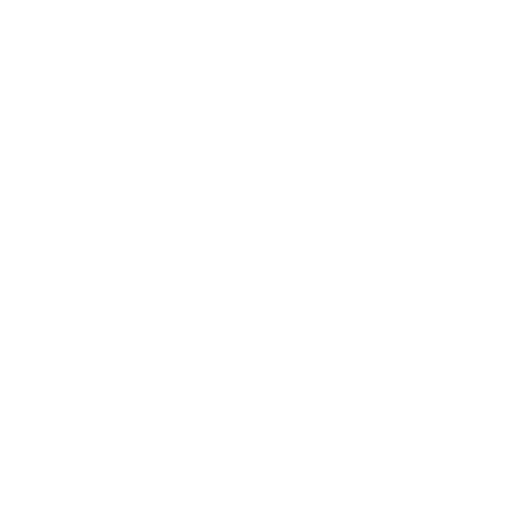 Bridge 2 Israel